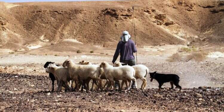 צילום: עדי אתרוג עוד לא יודעים מה לעשות בחול המועד? קבלו שלל הצעות לסוכות