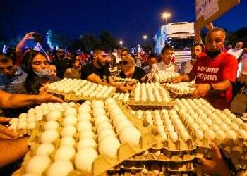 על כרעי תרנגולת: הרפורמה בשוק הביצים בדרך הישירה להתמוססות