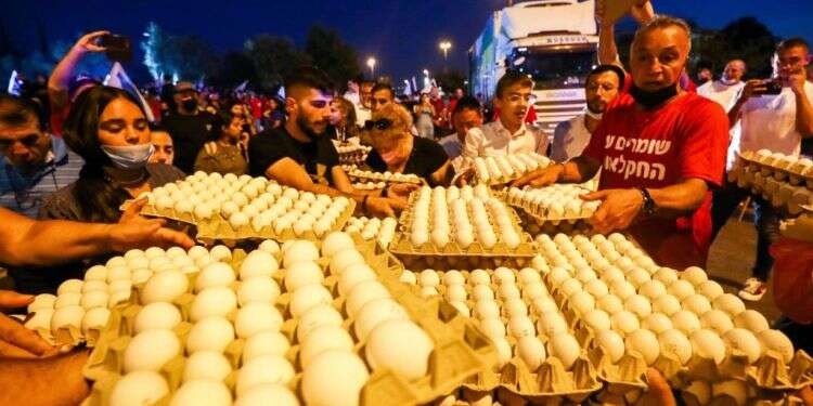 על כרעי תרנגולת: הרפורמה בשוק הביצים בדרך הישירה להתמוססות