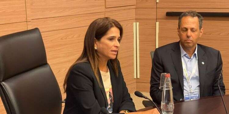 ח מירב בן-ארי: "מי שחושב שהבעיה בערים המעורבות היא הגרעין התורני – טועה"