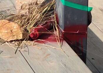 בזכות ערנות אזרח ותושיית הרבש"ץ נוטרל מטען בבנימין