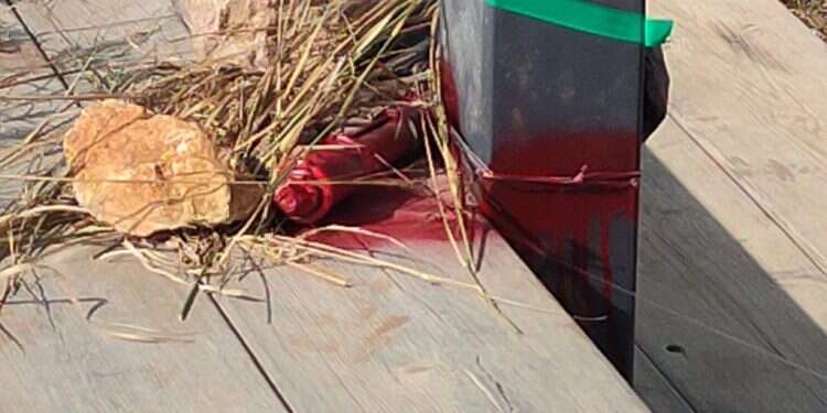 המטען שהונח בעדי עד. צילום: איגוד הרבשצים בזכות ערנות אזרח ותושיית הרבש"ץ נוטרל מטען בבנימין