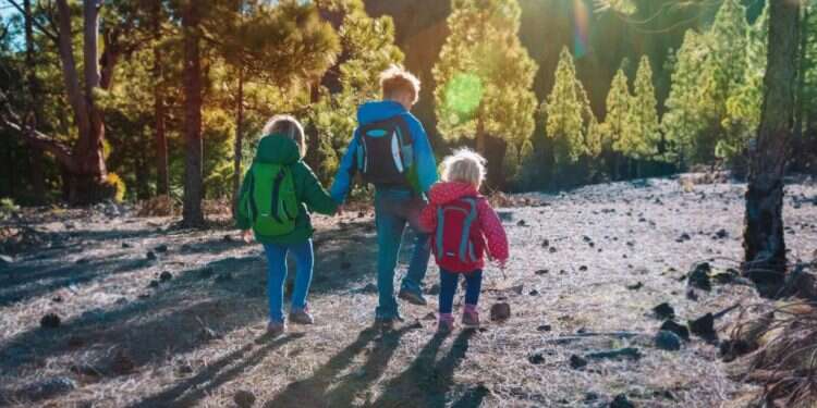 צילום: שאטרסטוק מטיילים בחול המועד: נחל מערה, מערת התאומים ומגלשת האבנים