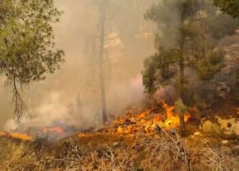שריפה פרצה בגוש עציון: "דפוס פעולה הדומה לזה של הצתה"