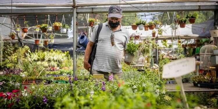 בעידן המודרני רובנו המוחלט לא עובדים את האדמה. משתלת גינת תמר בקעה ירושלים, אתמול צילום: יונתן זינדל, פלאש 90 שנת שמיטה: העצירה בעבודת האדמה היא לא השמיטה היחידה בחיינו