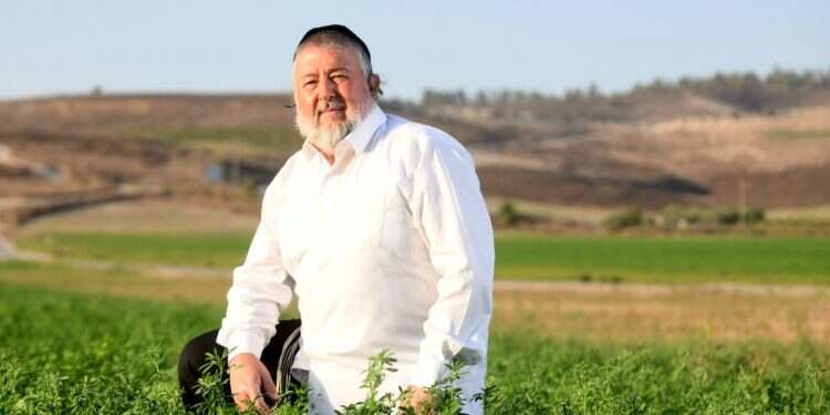 מעבר לגדר: גידולים, סיפורים ושאר ירקות בממלכה הירדנית