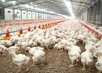 רפורמת החקלאות: סימן טוב לבאות?