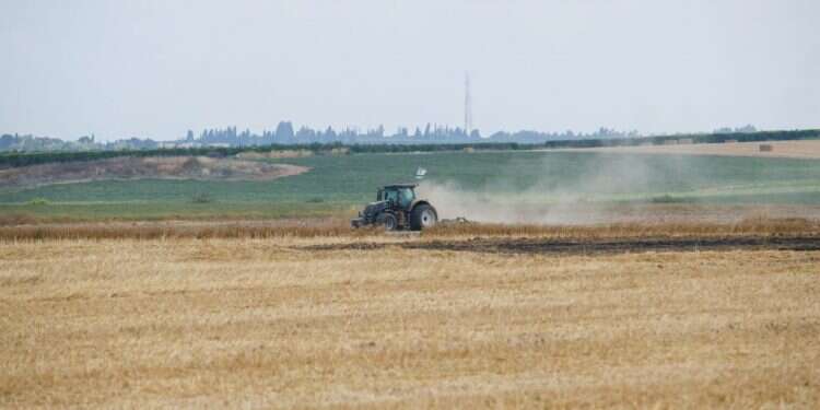 צילום: לירון מולדבן