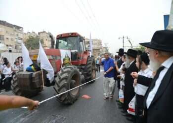 מחקלאים לצרכנים: הסיפור הלא מוכר של השמיטה במגזר החרדי