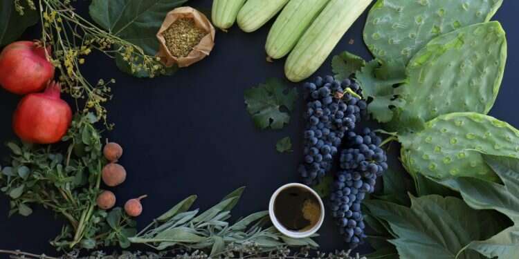 אבותינו שורשים: מסע ארצישראלי מיוחד דרך האוכל