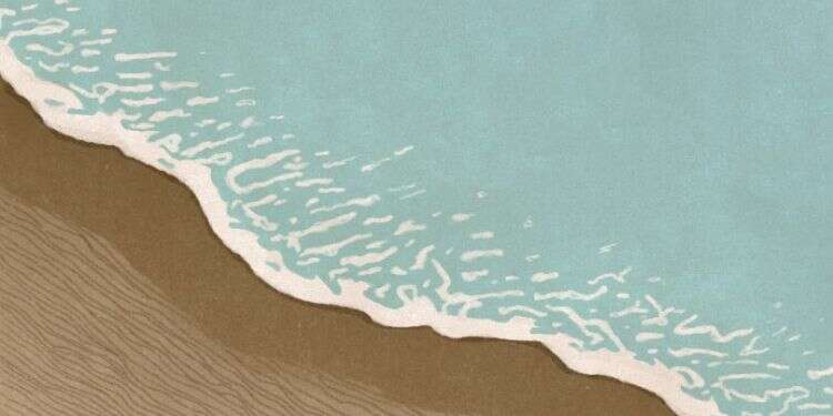 איור: שרון ארדיטי