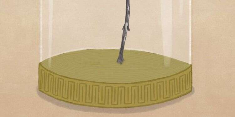 איור: שרון ארדיטי