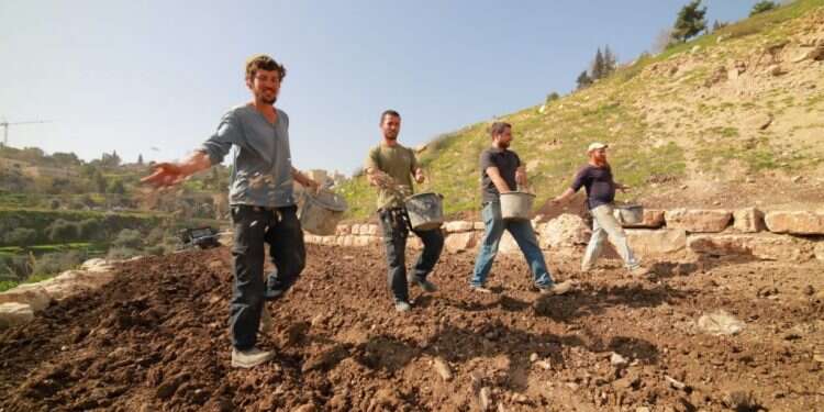 חווה חקלאית. צילום: קובי הראתי באפס מאמץ: פעילויות חול המועד לכל המשפחה!