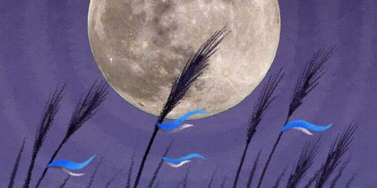 איור: נעמה להב יפה שמיטה אחת קודם: עולם החקלאות במדינה צריך להתאזן