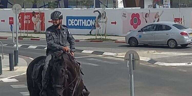 שוטר סמוך למרכז