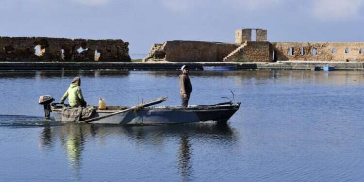 הים, העומד בין תוניסיה לצרפת, הוא מוטיב בעל משמעות תרבותית עמוקה. דייגים בנמל ביזרט. צילום: AFP