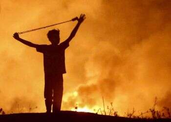 מונחים מזרח תיכוניים חדשים: "ארגון מדינה" ו"מדינת ארגון"