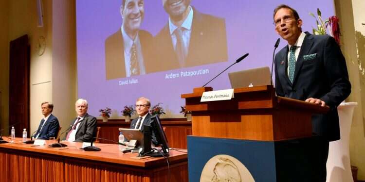 פרס הנובל לרפואה הוענק לחוקרים שגילו איך כואב לנו