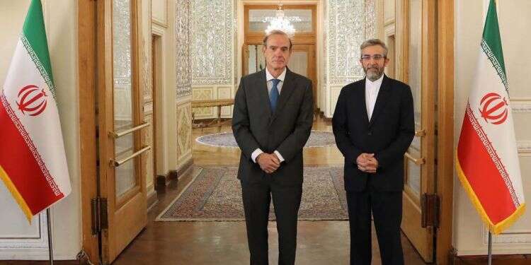 סגן שר החוץ האיראני נפגש עם מתאם שיחות הגרעין מטעם האיחוד האירופי. צילום: EPA דיווח באיראן: המשא ומתן הגרעיני יתחדש השבוע