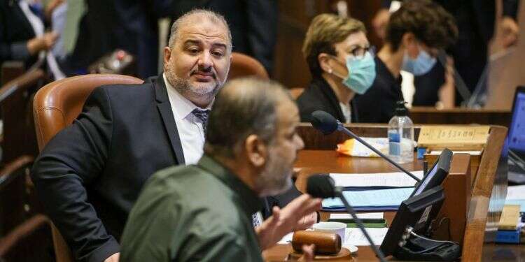 מנסור עבאס ווואליד טאהא במליאת הכנסת. צילום: נועם מושקוביץ, דוברות הכנסת חוק החשמל עבר בטרומית. שקד ובנט נעדרו מהמליאה