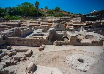 תגלית ביבנה: נחשף מפעל יין עצום מהתקופה הביזנטית