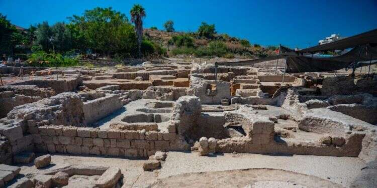 אזור תעשיית היין הקדום ביבנה. צילום: יניב ברמן רשות העתיקות תגלית ביבנה: נחשף מפעל יין עצום מהתקופה הביזנטית