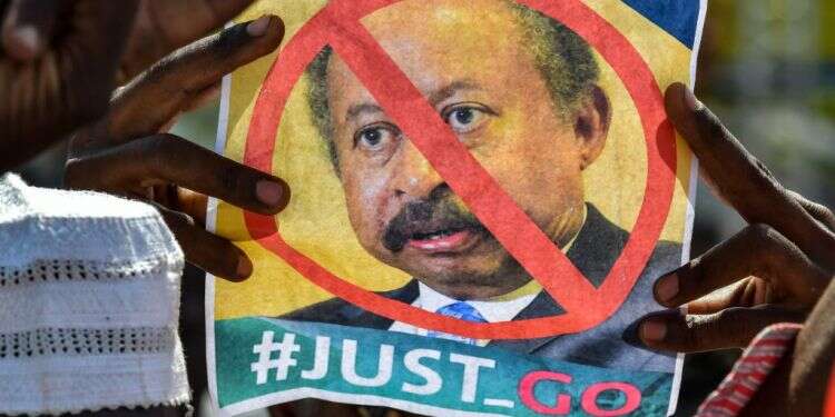 מפגין נגד ראש ממשלת סודן עבדאללה חמדוכ. צילום ניסיון הפיכה בסודן: ראש הממשלה שוהה במעצר בית