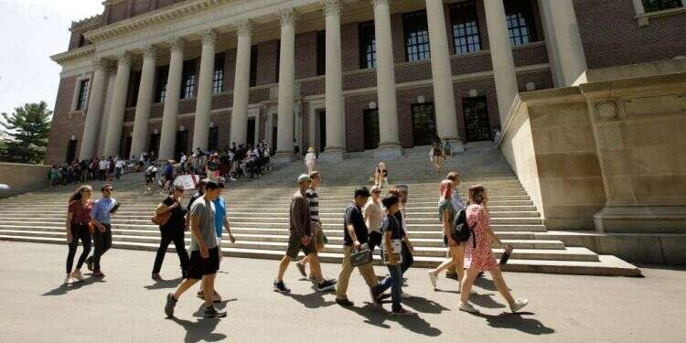 אוניברסיטת הרווארד. צילום: AP "עבור יהודי ארה"ב זה בהחלט רגע של שפל היסטורי"