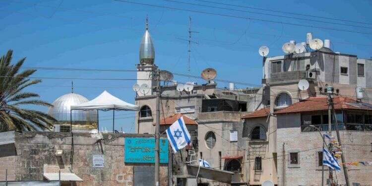 צילום: יוסי אלוני