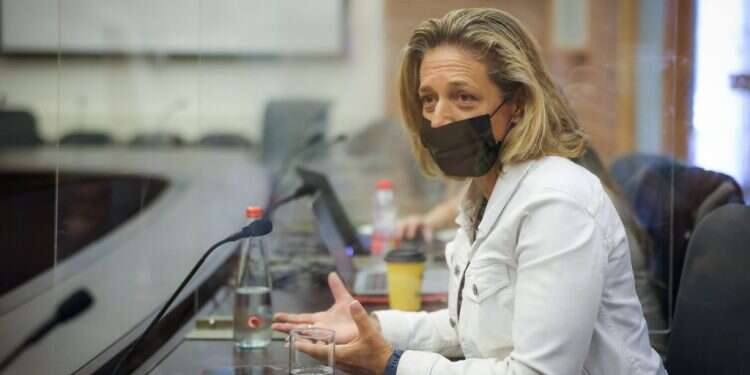 שרון אלרעי פרייס בוועדת חוקה. צילום: נועם מושקוביץ, דוברות הכנסת סערה בוועדת חוקה: עימות בין ד"ר אלרעי פרייס ל"מועצת החירום הציבורית"