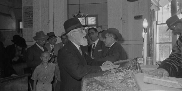 באדיבות: מרצ'ל מיכאל אלמגור