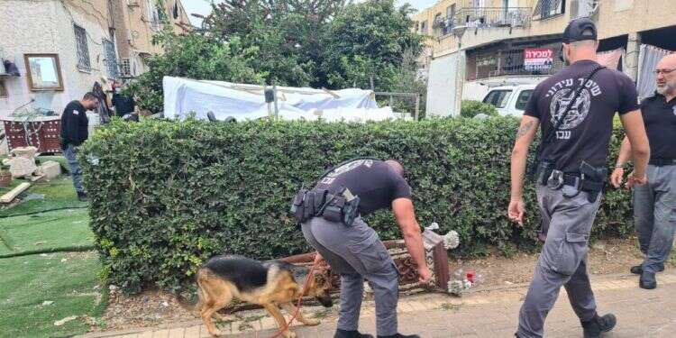 שוטרים עם אחד הכלבים שנמצאו בבית העבריינים. צילום: דוברות המשטרה פעולת תגמול להתפרעות: המשטרה הרסה חצר של עבריינים בעכו