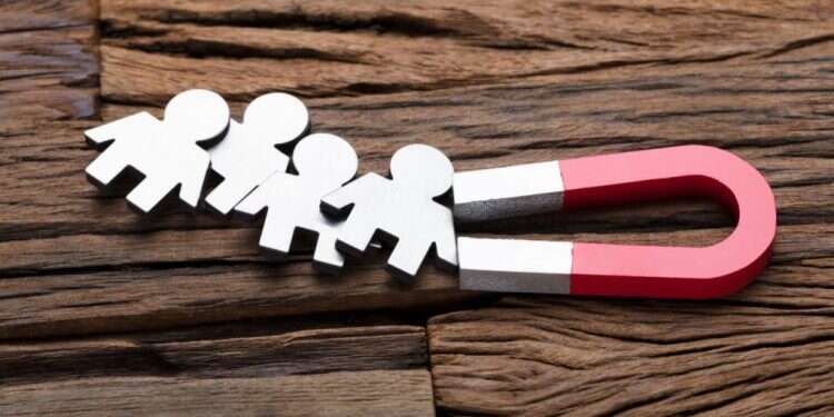 צילום: שאטרקסטוק