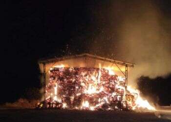 בתום מרדף משטרתי: נעצרו שני מציתי מתבן וטרקטור בצפון