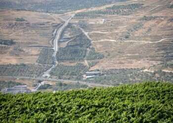 ואם הבציר של צנחנים היה מתקיים בעכו ולא ביצהר?