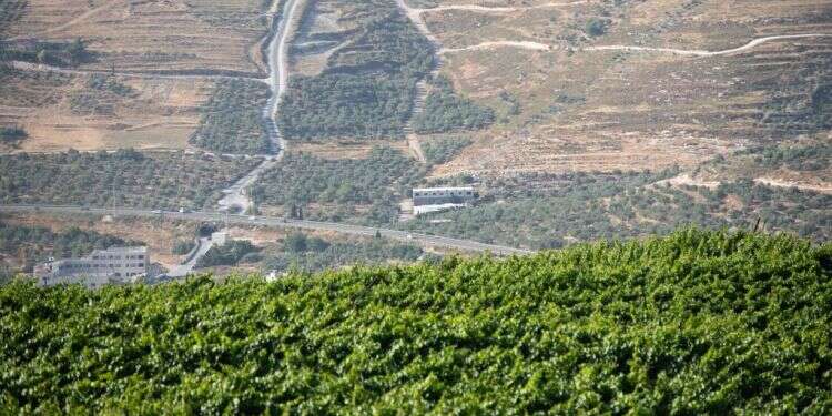 ואם הבציר של צנחנים היה מתקיים בעכו ולא ביצהר?