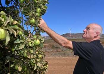 שביל התפוחים: הצצה לאולם המיון המרכזי של "בראשית"