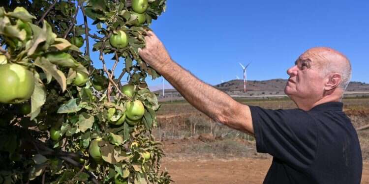 שביל התפוחים: הצצה לאולם המיון המרכזי של "בראשית"