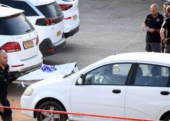 לחברים של יזם הנדל"ן אלדד פרי אין מושג מי רצח אותו