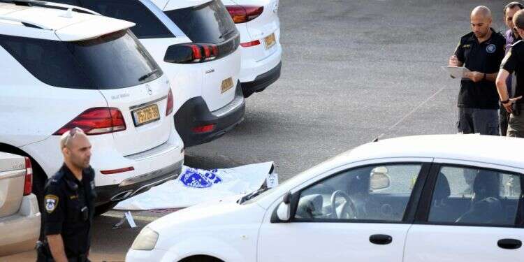 לחברים של יזם הנדל"ן אלדד פרי אין מושג מי רצח אותו