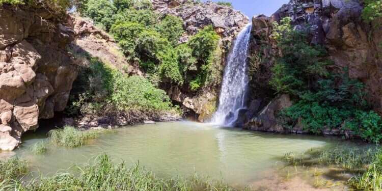 נחל סער בצפון רמת הגולן. צילום: שאטרסטוק