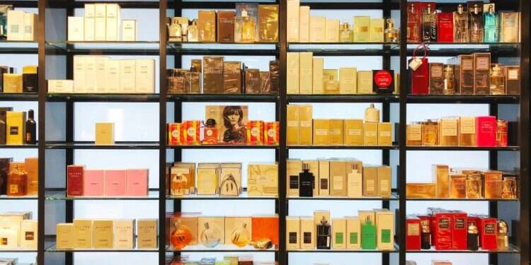 צילום: שאטרסטוק