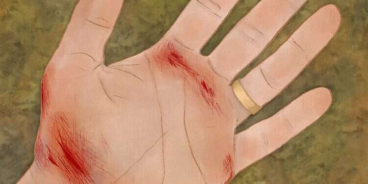 איור: שרון ארדיטי איור: שרון ארדיטי