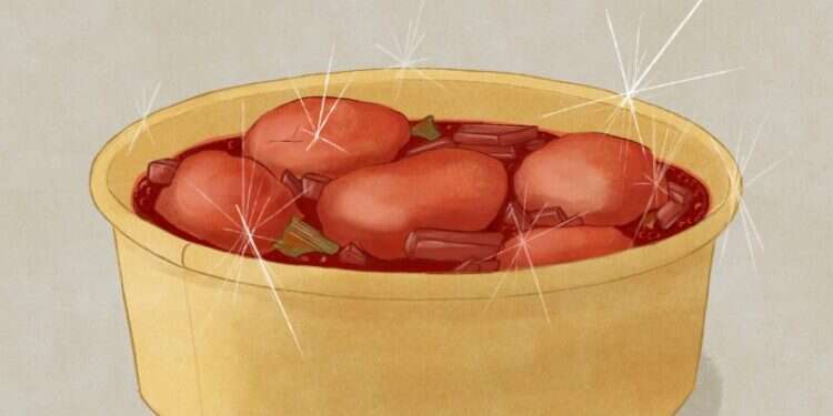 איור: שרון ארדיטי