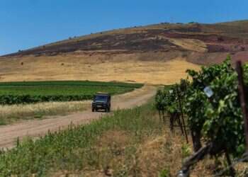 דרך הגפן: סיפורו של יקב רמת הגולן