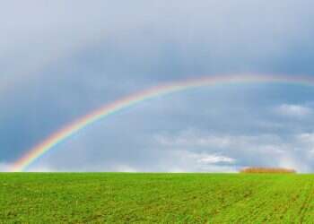 מה בין הלבוש שלנו לבין ניגונים ותפילה?