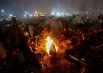 בלארוס: לוקשנקו מנסה לרדת מהעץ