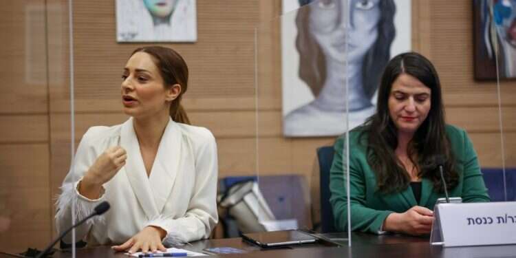 מעין אדם בוועדה למעמד האישה בכנסת. צילום: נועם מושקוביץ דוברות הכנסת דיון בכנסת בנושא הקפאת ביציות: "תמיכה כספית תקל על הבדידות"