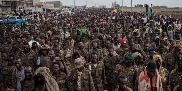 חיילים מצבא אתיופיה שנשבו בידי המורדים צילום: AFP המערכה באתיופיה: שני הצדדים פושעי מלחמה