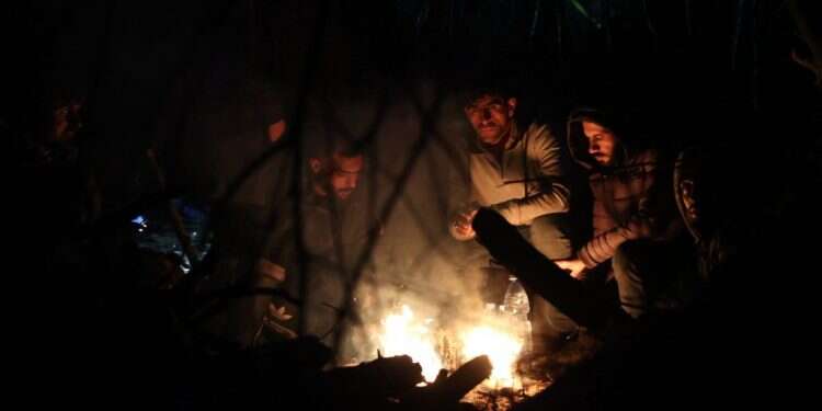 מהגרים מהמזרח התיכון בגבול בין בלארוס לפולין. צילום: AFP מרקל קוראת לפוטין להתערב במשבר המהגרים בגבול בלארוס-פולין